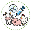 icon/image_6.png