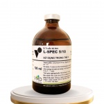  L-SPEC 5/10TRAIN