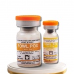  FOWL POX