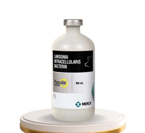 Porcilis® Ilitis