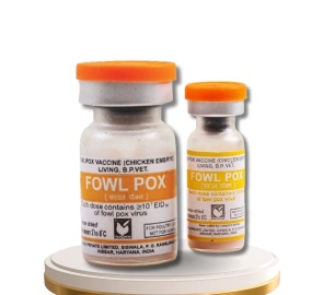  FOWL POX