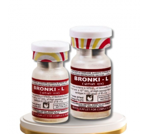 BRONKI – L