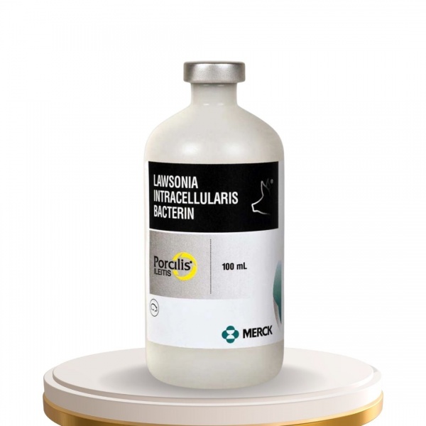 Porcilis® Ilitis