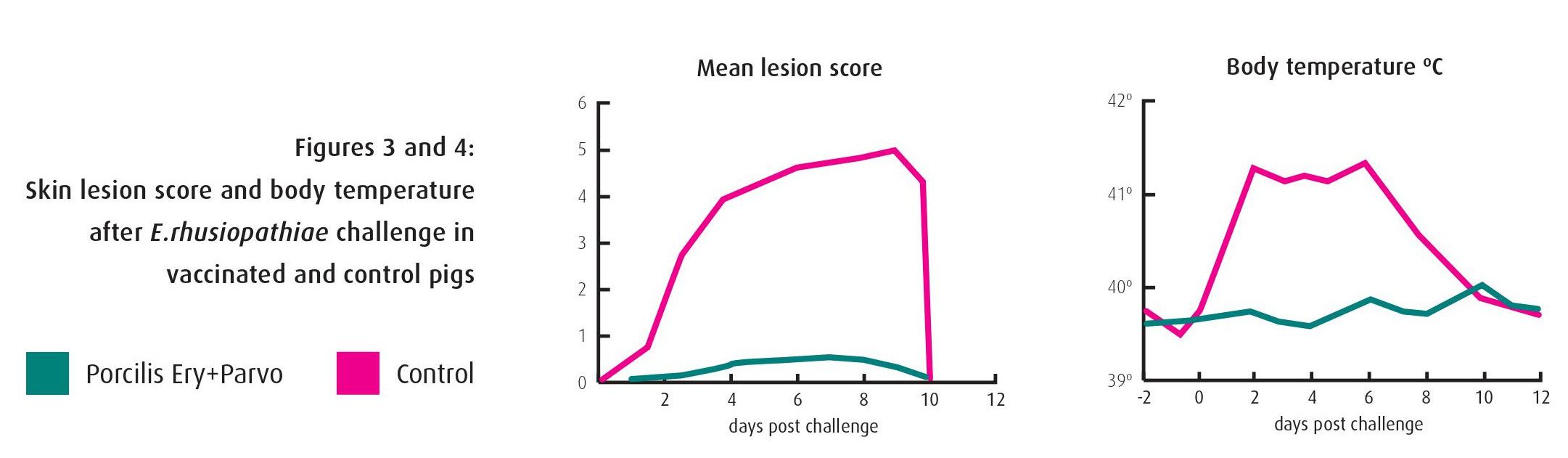 Skin lesion score and body temperature after E.rhusiopathiae challenge in vaccinated and control pigs