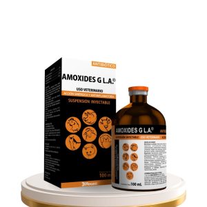 AMOXIDES G L.A