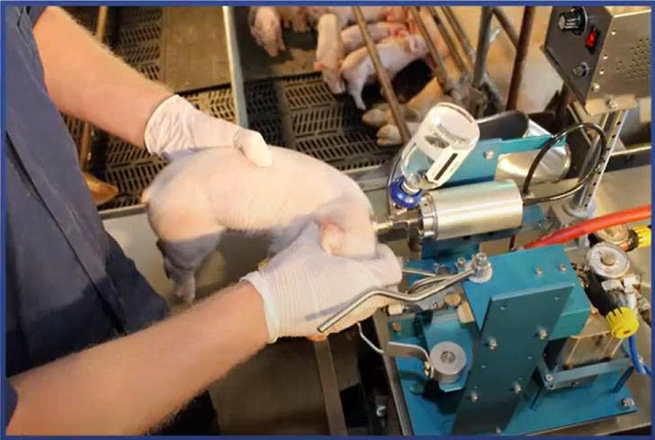 z7459688016085_15deddeb6f549a36b70ecbf69a1d64f6