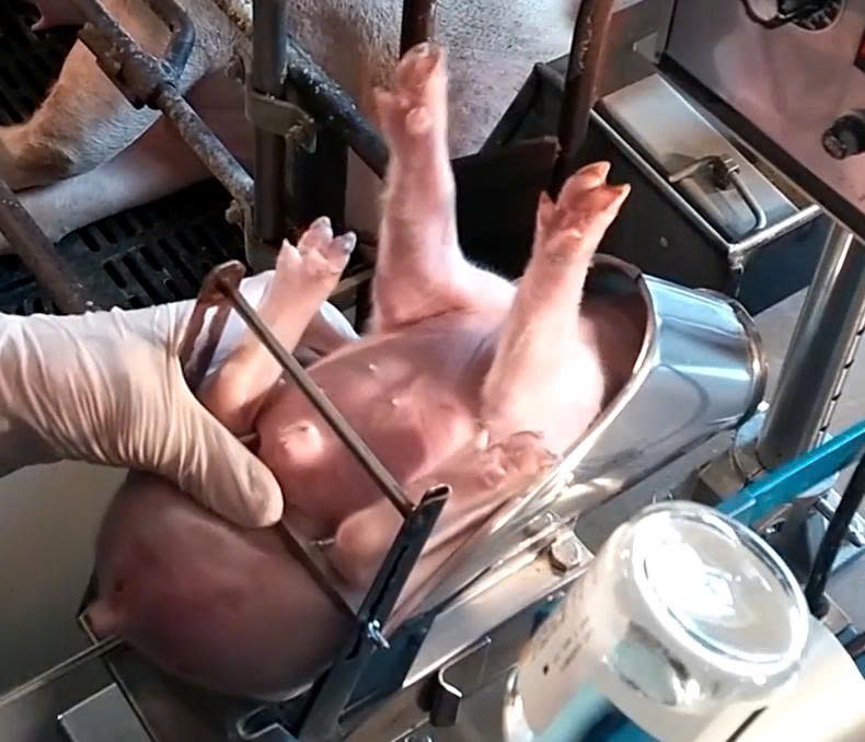 z7459688016139_d6f69df84d9a5b74472b21de2f69e070