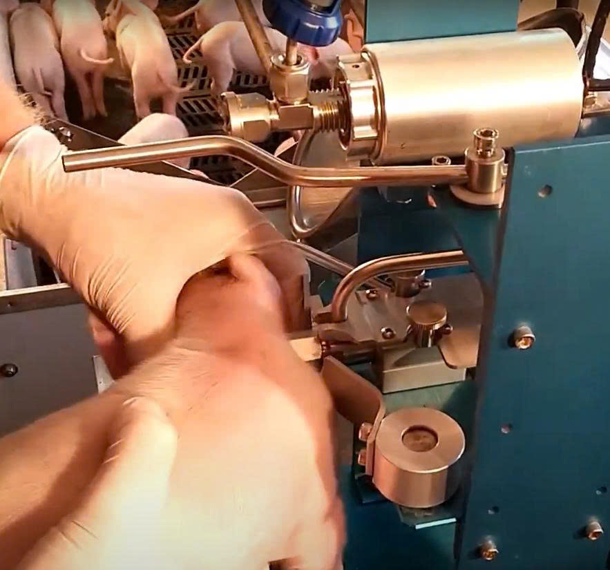 z7459688016242_2465a451b96a9fa403009ebdd87092e2