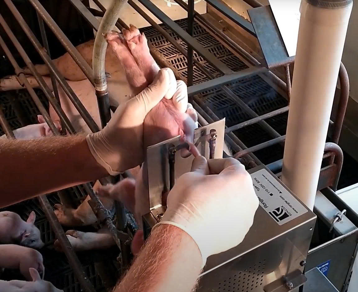 z7459688016243_f630ddab98273f39c8f698ffed3070f8